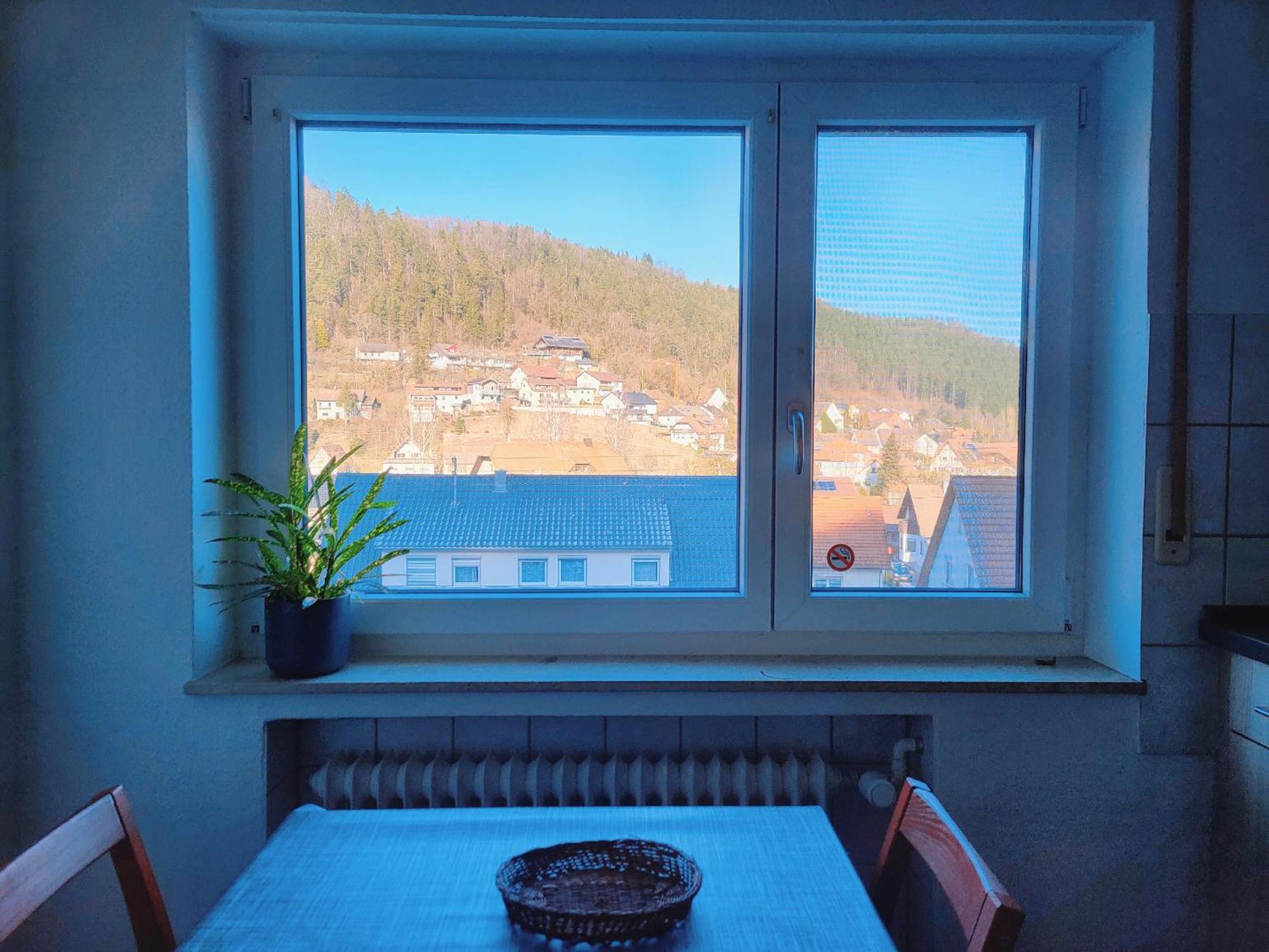 Privates Zimmer In Unterkunft Mit Glatttal Blick In Wasserschloss Nahe 술즈암네카어 외부 사진